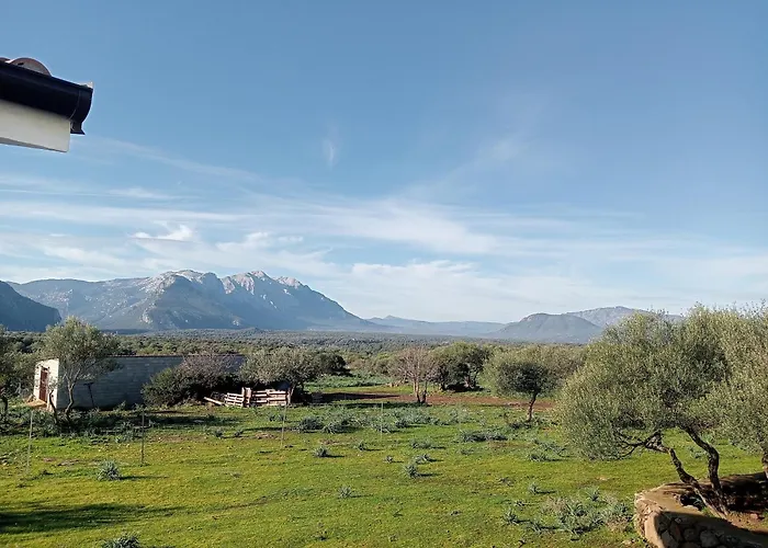 Agriturismo Sa Murta Dorgali