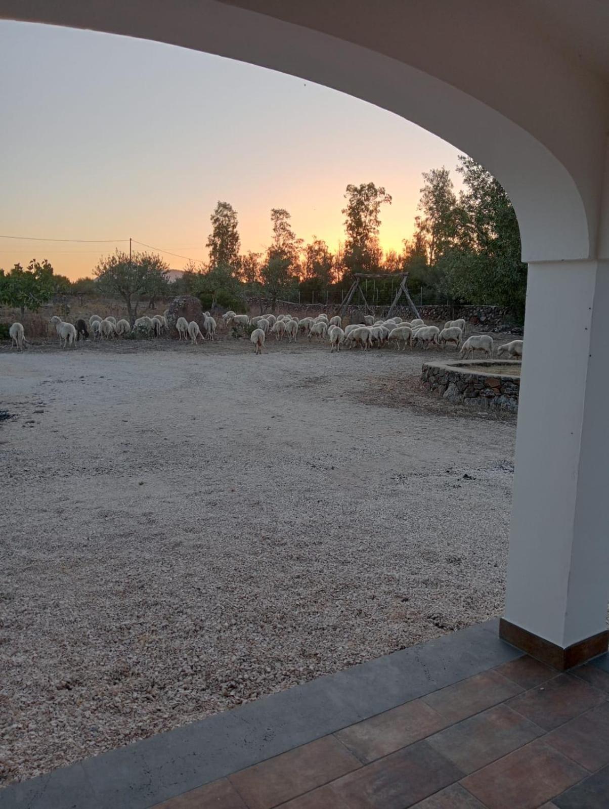Farm stay Sa Murta