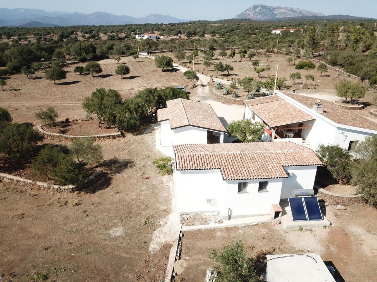 Sa Murta * Dorgali
