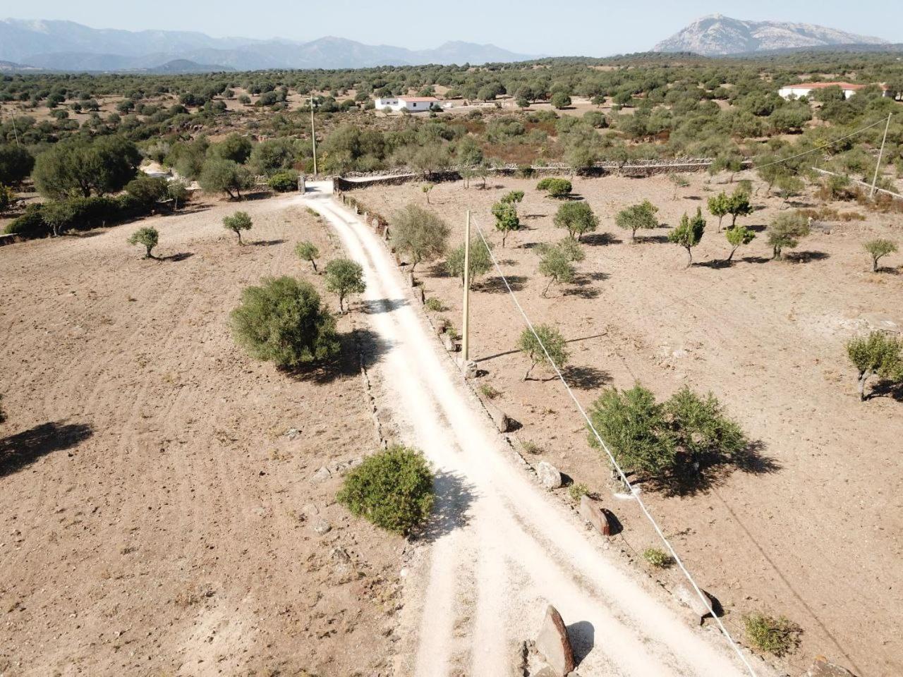 Sa Murta Dorgali