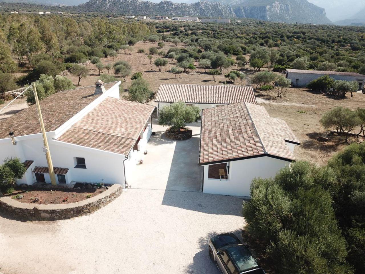 Sa Murta * Dorgali