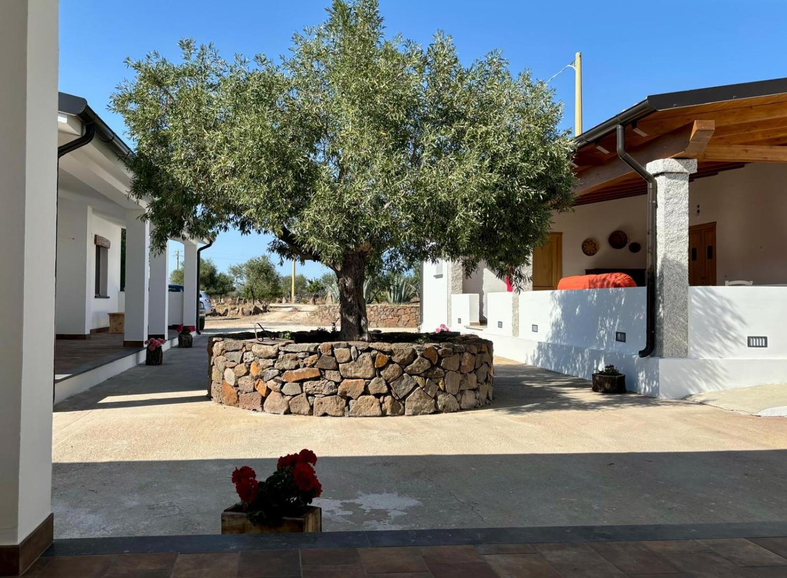 Sa Murta Dorgali