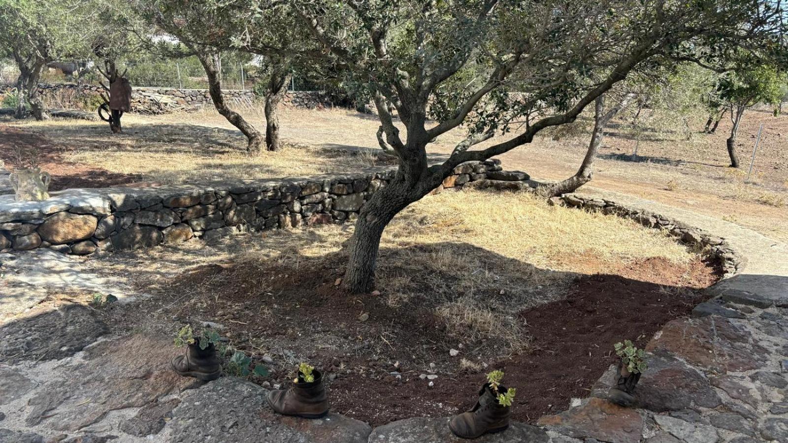 Sa Murta Dorgali