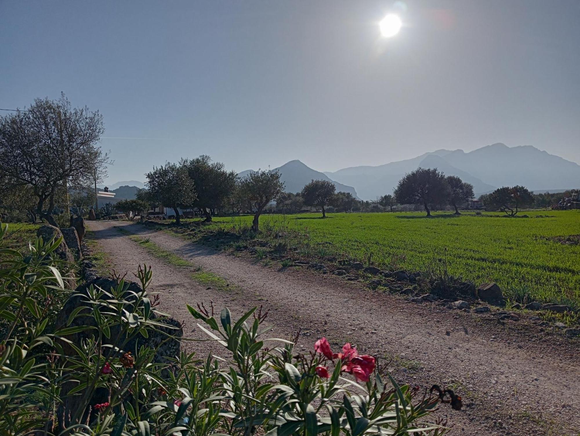 Farm stay Sa Murta