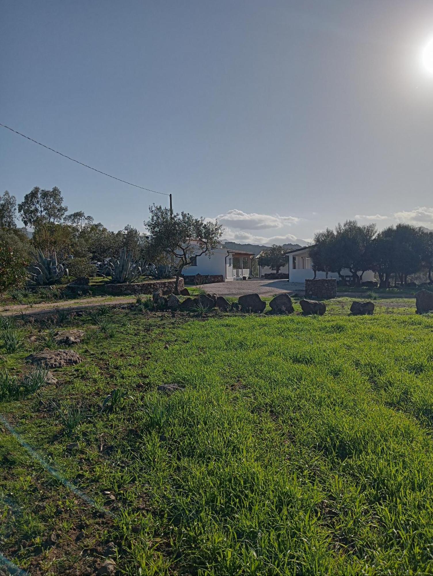 Sa Murta Farm stay